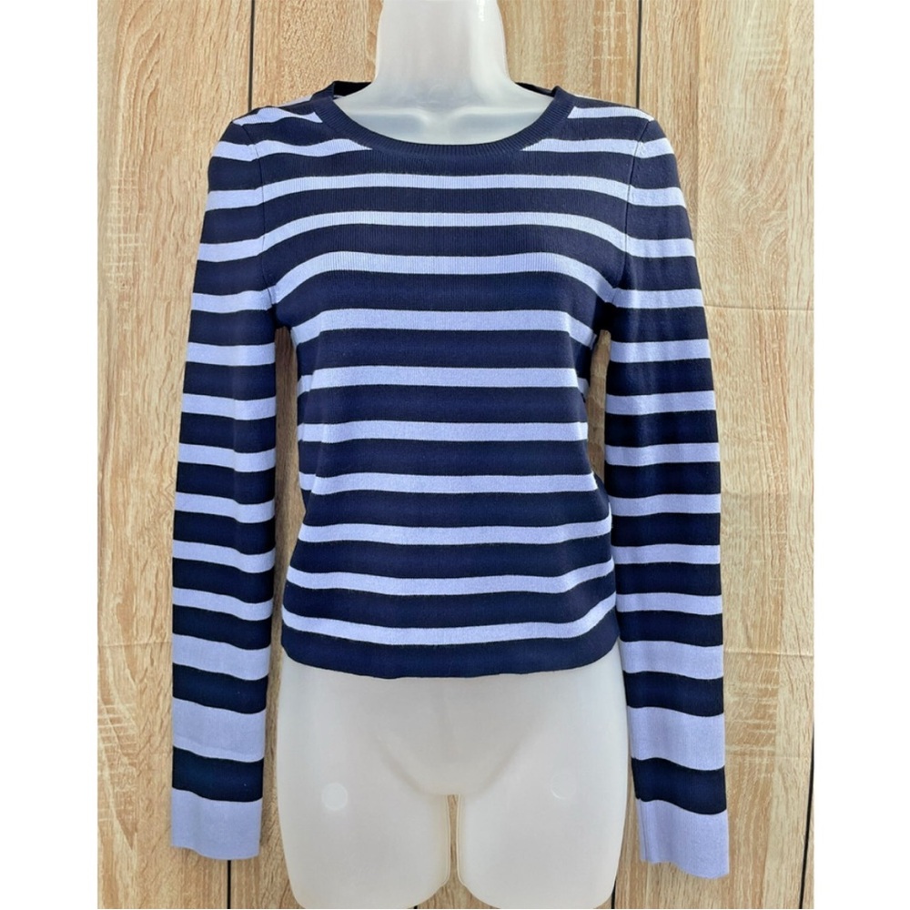Anthropologie Maeve Striped Knit in Navy and Purple